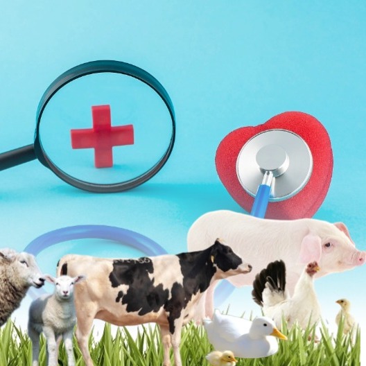 315 合规大考来袭〡养殖投入品整治全面启动