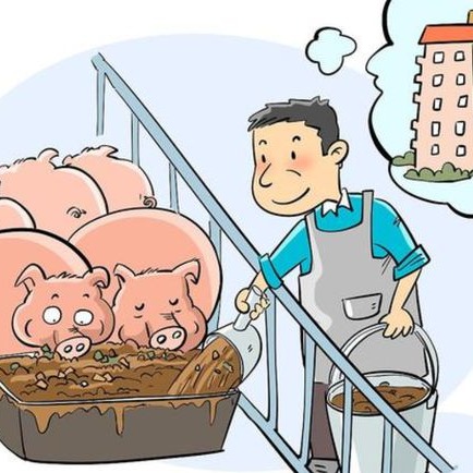 猪场日常巡舍注意事项