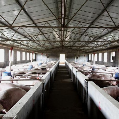 产前应激应该怎么处理