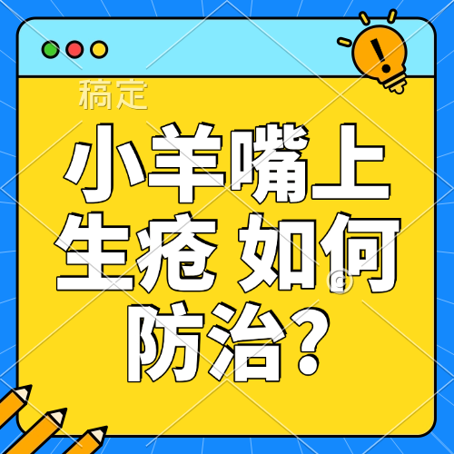 小羊嘴上生疮 如何防治?