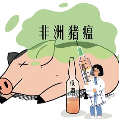 非瘟防控的核心逻辑：没有疫苗，生物安全就是最后的防线