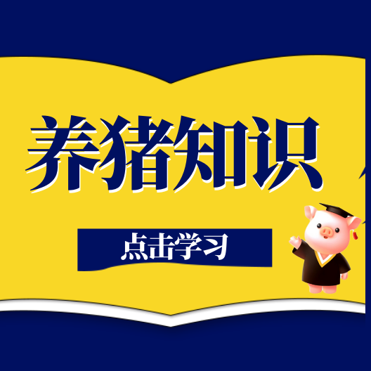 预防仔猪黄白痢，抓住母猪产前产后这黄金期