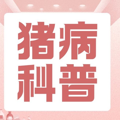 新手老手都该记！养猪最关键的四个7天，做对省不少心