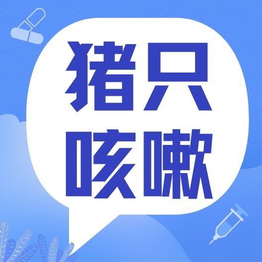 猪场呼吸道病难鉴别？一文读懂5种常见细菌性呼吸道病