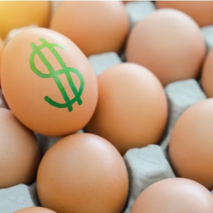 底色与边界，一枚蛋引发的农业食品生产与消费认知冲突