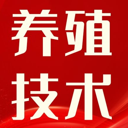 别再把咳喘当小事！呼吸困难的猪，多半是这两种病在搞鬼