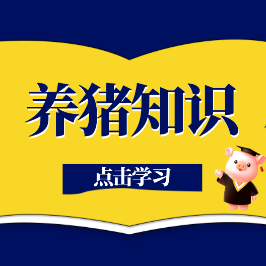 猪生病不一定要打针！这四种情况要知道
