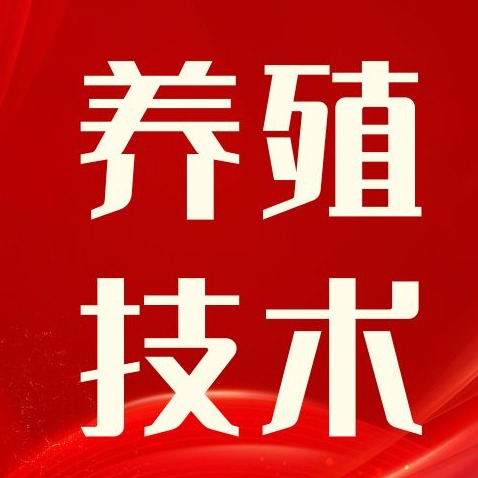 别再把咳喘当小事！呼吸困难的猪，多半是这两种病在搞鬼
