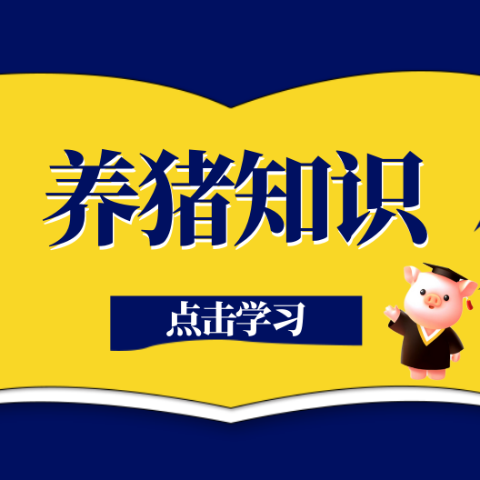 猪为什么出现红斑病呢?又该如何防治?