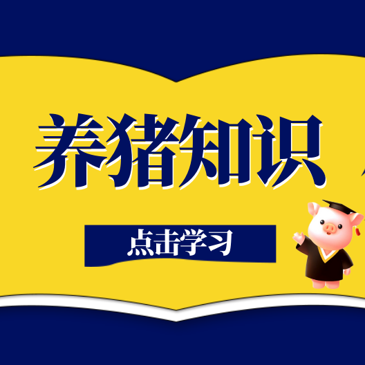 猪场消毒不规范，等于白忙活！