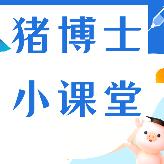 为什么保育料比教槽料还重要？