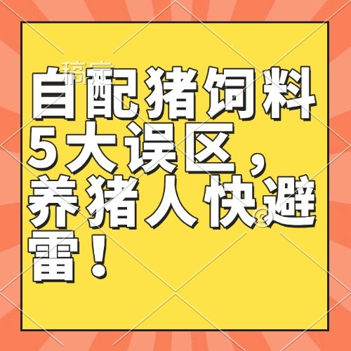 自配猪饲料5大误区，养猪人快避雷！