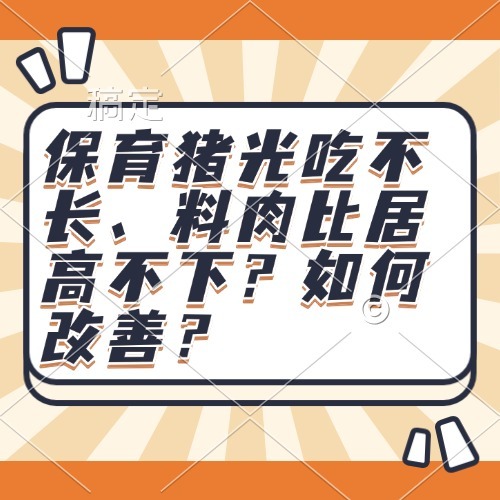 保育猪光吃不长、料肉比居高不下？如何改善？