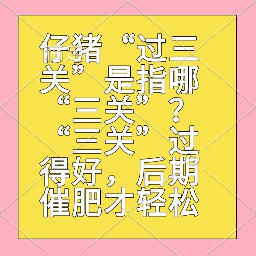仔猪&ldquo;过三关&rdquo;是指哪&ldquo;三关&rdquo;？&ldquo;三关&rdquo;过得好，后期催肥才轻松