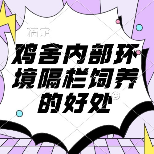 鸡舍内部环境隔栏饲养的好处
