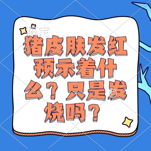猪皮肤发红预示着什么？只是发烧吗？