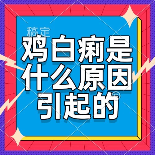 鸡白痢是什么原因引起的