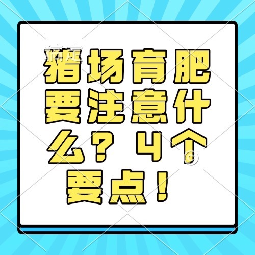 猪场育肥要注意什么？4个要点！