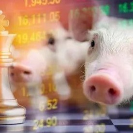 【论文精要】25%！益生菌复合发酵饲料在断奶仔猪中的适宜添加比例确定