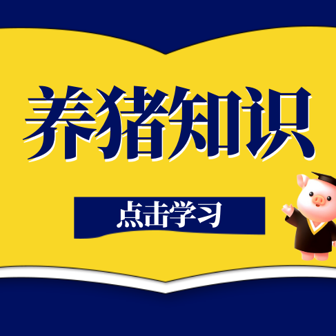 猪病毒性肠炎反复发作？全程防控方案来了