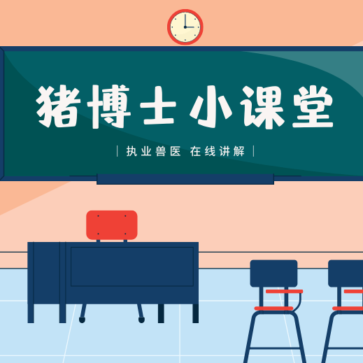 春季母猪养殖5要点，提产保效两不误！