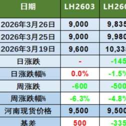 猪价行情及生猪期货行情动态