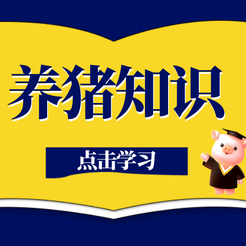 详解猪细小病毒病的防控核心：免疫接种与生物安全