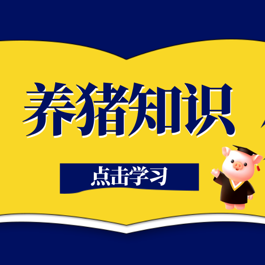 从受孕到分娩：母猪妊娠分娩生理特点与养殖干货