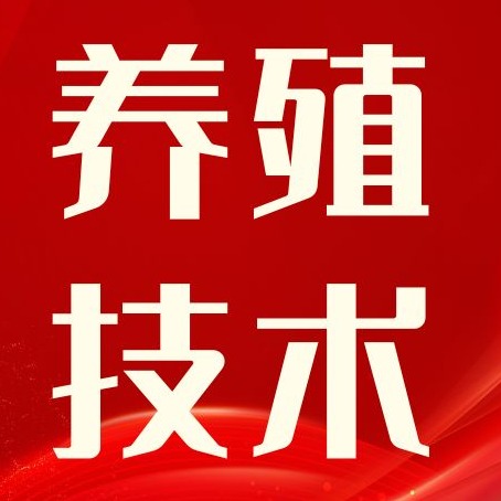 猪为什么喜欢吃土？什么原因造成的？