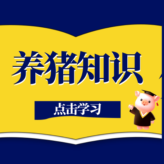 哺乳母猪泌乳量怎么判断？一文读懂母猪 + 仔猪双维度判定标准