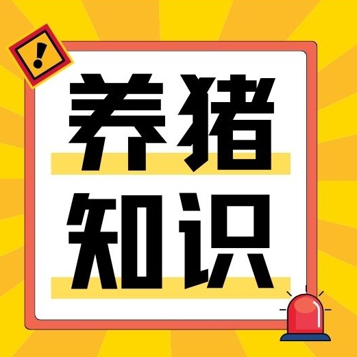 自配料锣底选不对，饲料白喂、猪只难长肉！