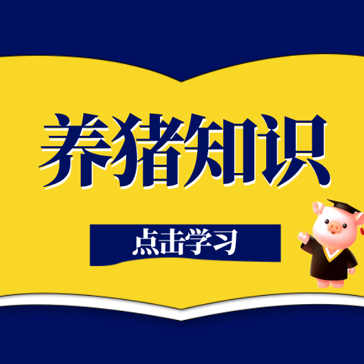 猪为什么喜欢吃土？什么原因造成的？