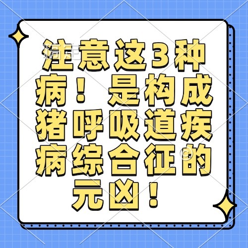 注意这3种病！是构成猪呼吸道疾病综合征的元凶！