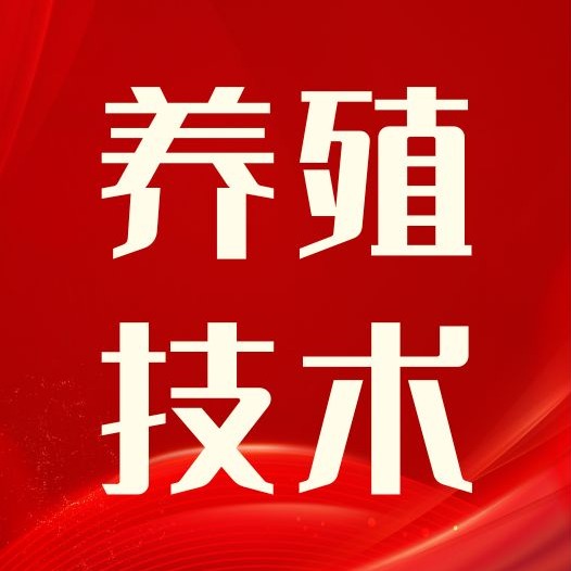 猪关节炎易误诊、易反复，搞错病因，猪越养越废