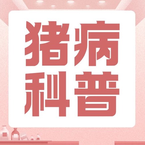 仔猪断奶后腹泻的病因是啥？如何防控？