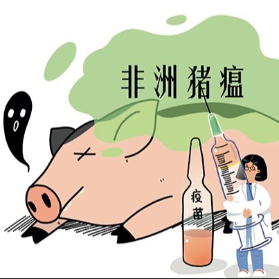 不同规模猪场，非洲猪瘟后复养时间汇总