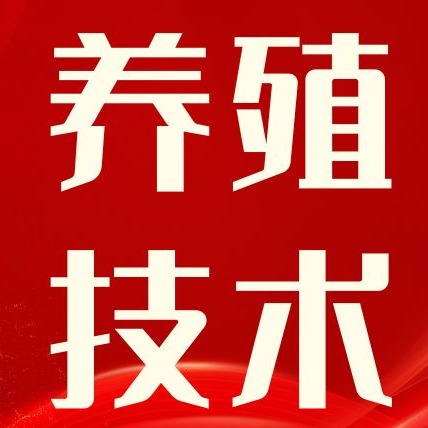 猪为什么会反复发烧呢？该如何防治？