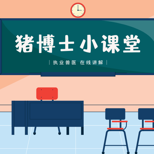 猪胚胎大小，决定后备母猪繁殖潜力