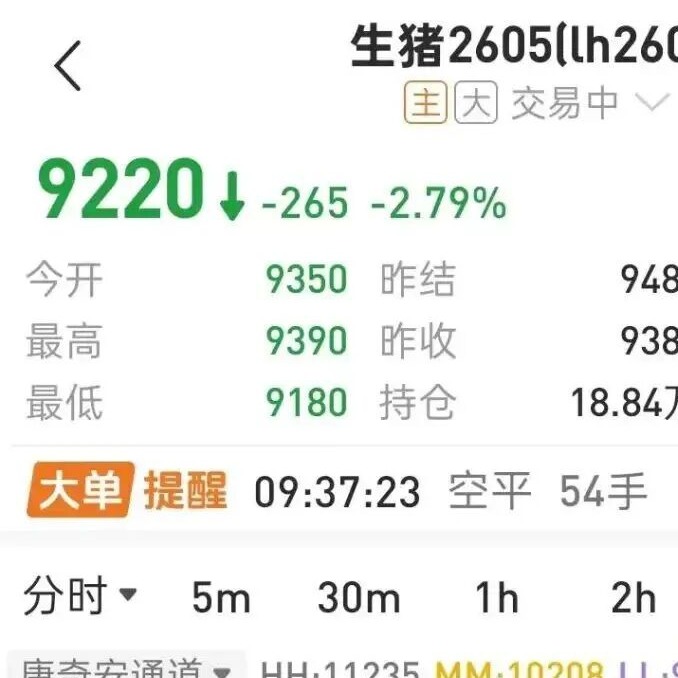 新闻‖生猪期货跌破9200，A股猪肉板块却逆势走强