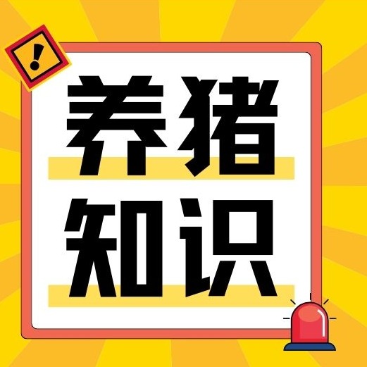 非瘟无疫苗，消毒不是万能的！90%猪场都踩过的生物安全误区