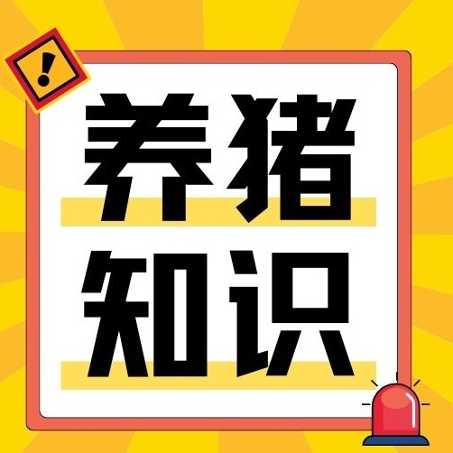 8种母猪必淘汰！留着只会白吃料、拉低效益