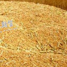 CFT：豆粕震荡偏弱 棉粕波动有限