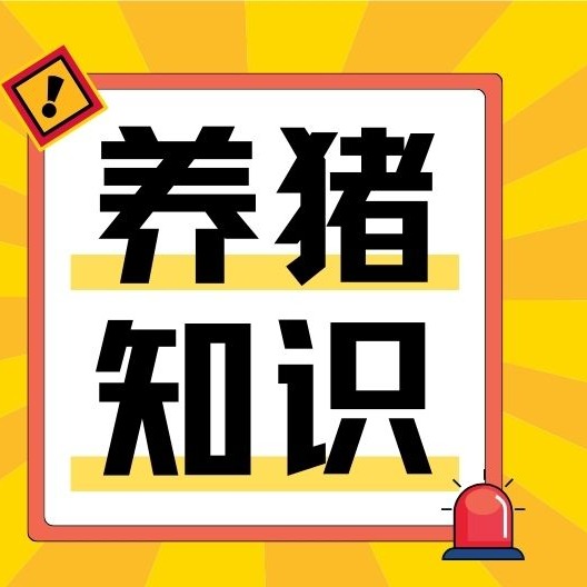 蓝耳疫苗别乱打！死苗维稳、活苗救火，要分清楚