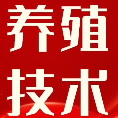 从水源到管理：猪场供水安全、高效、节水升级指南