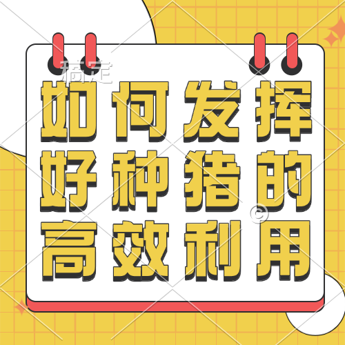 如何发挥好种猪的高效利用