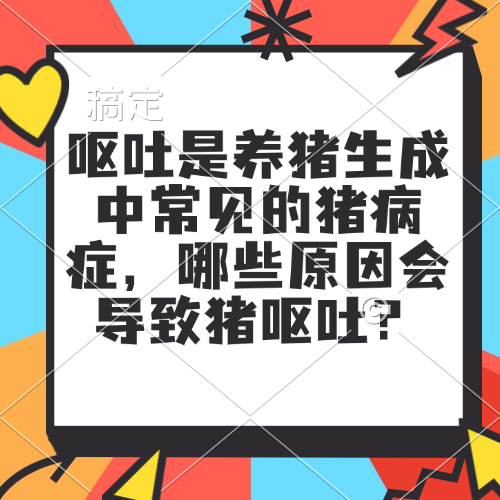 呕吐是养猪生成中常见的猪病症，哪些原因会导致猪呕吐？