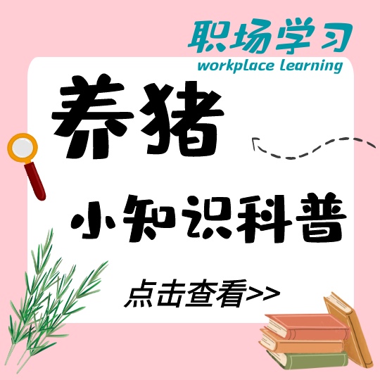 断奶母猪发情率低？先从这10个影响因素逐一排查