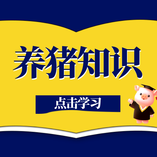 后备母猪精细化饲养选育全解析