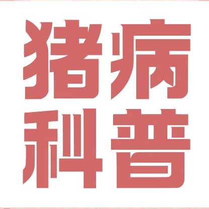 母猪胀气如何解决？原因分析以及防治措施分享