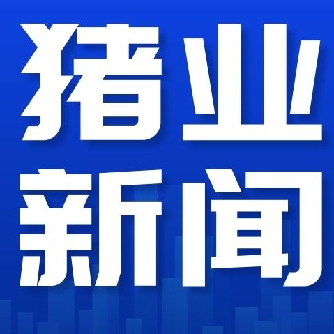 2026年4月14日全国各省市外三元生猪价格，标肥倒挂、持续亏损，产能去化难挡猪价下行？